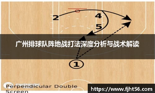广州排球队阵地战打法深度分析与战术解读