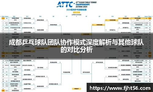 成都乒乓球队团队协作模式深度解析与其他球队的对比分析